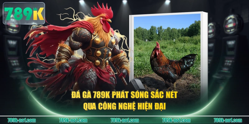 Đá Gà 789K phát sóng sắc nét qua công nghệ hiện đại