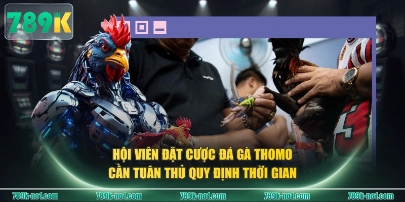 Hội viên đặt cược Đá Gà Thomo cần tuân thủ quy định thời gian