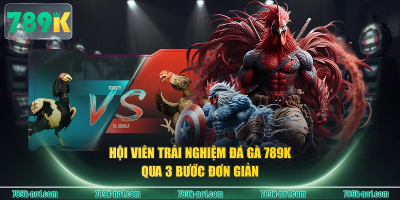Hội viên trải nghiệm Đá Gà 789K qua 3 bước đơn giản